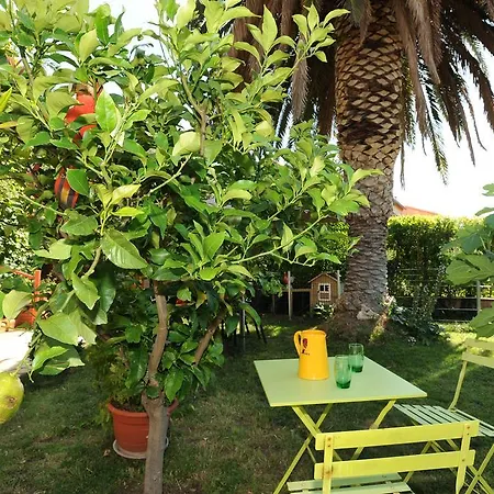 Chambres D'hotes Arcenciel Bed & Breakfast Canohès
